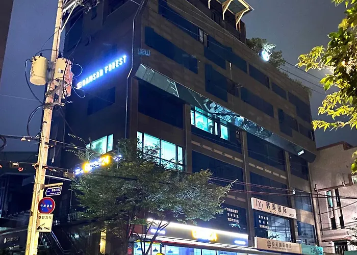 Namsan Forest In Myeongdong Seoul